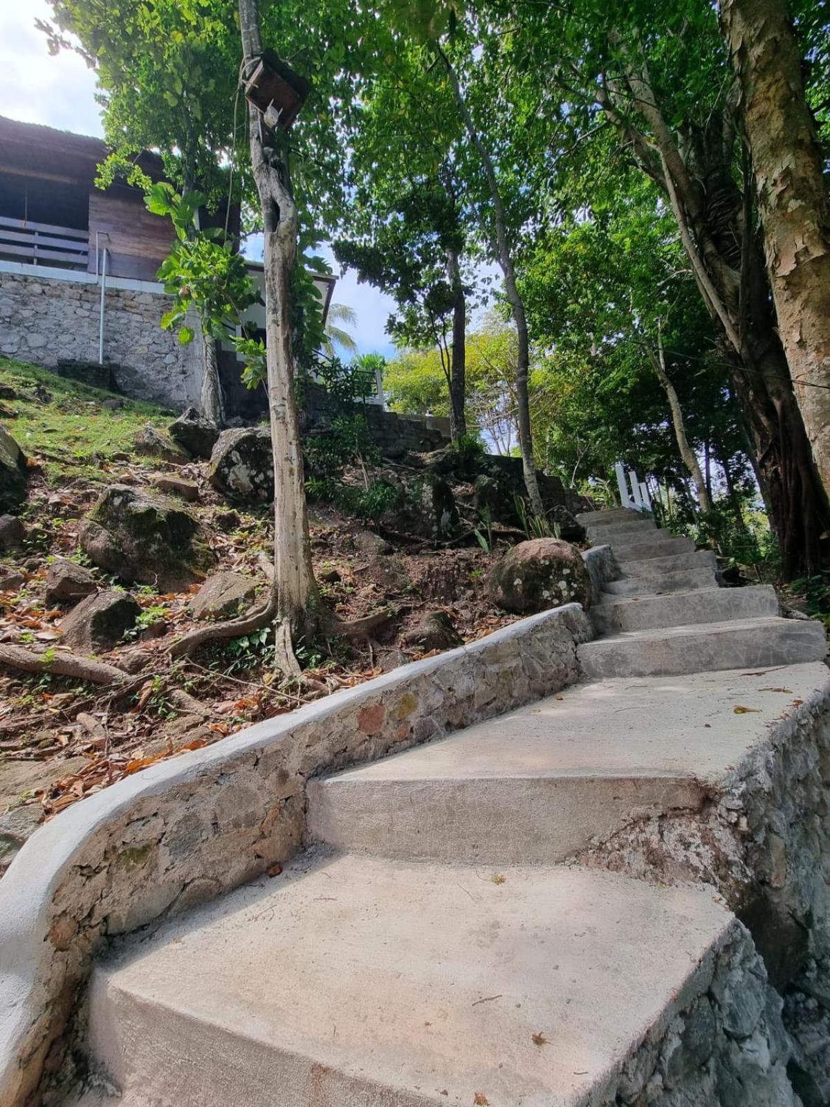 Treetop Guesthouse And Bungalows Sabang  Exterior photo